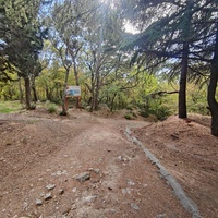 Царская, Горизонт., Солнеч. тропа вдоль ЮБК от Ливад. дворца до сан. им. Розы Люксембург в Гаспре. По ней гулял Николай II, потому – Царская. После революции -  Солнечная. Длина — 6,7 км; наклон — < 3° (поэтому гориз-я); высота над морем, — 133–203 м