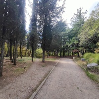 Царская, Горизонт., Солнеч. тропа вдоль ЮБК от Ливад. дворца до сан. им. Розы Люксембург в Гаспре. По ней гулял Николай II, потому – Царская. После революции -  Солнечная. Длина — 6,7 км; наклон — < 3° (поэтому гориз-я); высота над морем, — 133–203 м