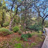 Парк Мурад-Авур  (проект Н. П. Краснова 1913–1916 гг.) - бывшая усадьба ген.-майора Н. Н. Комстадиуса.  На месте леса между оставшимися деревьями посадили 300 пирамидальных кипарисов и 50 саженцев других пород. До 2011г. - террит. санатория «Марат».