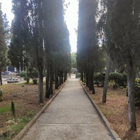 Парк Мурад-Авур  (проект Н. П. Краснова 1913–1916 гг.) - бывшая усадьба ген.-майора Н. Н. Комстадиуса.  На месте леса между оставшимися деревьями посадили 300 пирамидальных кипарисов и 50 саженцев других пород. До 2011г. - террит. санатория «Марат».