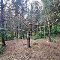 Парк Мурад-Авур  (проект Н. П. Краснова 1913–1916 гг.) - бывшая усадьба ген.-майора Н. Н. Комстадиуса.  На месте леса между оставшимися деревьями посадили 300 пирамидальных кипарисов и 50 саженцев других пород. До 2011г. - террит. санатория «Марат».