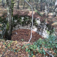 Смешанный лес к З от с. Горное и к С от с. Высокогорное на территории Ялтинского горно-лесного заповедника. Остатки построек.