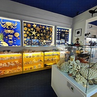 Экспозиции палеонтологического музея Валентина Вербицкого.