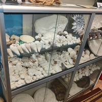 Экспозиции палеонтологического музея Валентина Вербицкого.