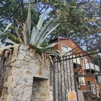 На территории посёлка.