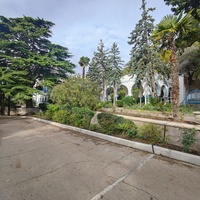 Парк "Дюльбер". Разбит в конце XIX в. Инициатор парка - велик. князь Петр Николаевич Романов. Проект всего дворцово-паркового ансамбля с учётом эскизов Романова разработал ялт. арх. Н. П. Краснов, высажен с участием  крымского садовода Л. Кремера.