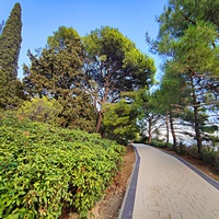 Парк-памятник садово-паркового искусства. Заложен в 1880 г. при строительстве летней резиденции графа Витте. Над созданием ландшафтного дизайна трудились архитектор Марко и главный садовник ЮБК Кебах, к 1891 г. парк приобрёл законченный вид.