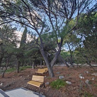 Парк-памятник садово-паркового искусства. Заложен в 1880 г. при строительстве летней резиденции графа Витте. Над созданием ландшафтного дизайна трудились архитектор Марко и главный садовник ЮБК Кебах, к 1891 г. парк приобрёл законченный вид.