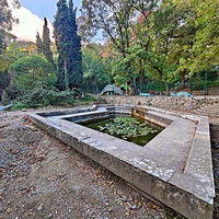 На территории лечебно-оздоровительного центра «Нижний Мисхор» в парке-памятнике садово-паркового искусства.