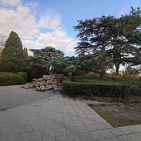 Мисхорский парк-памятник садово-паркового искусства.