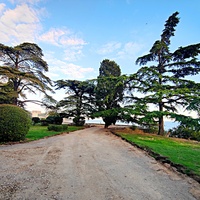 Мисхорский парк-памятник садово-паркового искусства.
