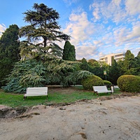 Мисхорский парк-памятник садово-паркового искусства.