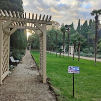 Мисхорский парк-памятник садово-паркового искусства. Пальмовая аллея.