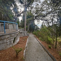 Парк "Дюльбер". Разбит в конце XIX в. Инициатор создания парка - великий князь Петр Николаевич Романов (внук Николая I). Проект парка с учётом эскизов Романова разработал ялт. арх. Н. П. Краснов, высажен с участием  крымского садовода Л. Кремера.