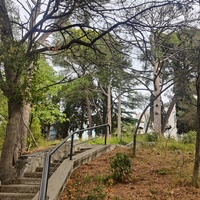 Парк "Дюльбер". Разбит в конце XIX в. Инициатор создания парка - великий князь Петр Николаевич Романов (внук Николая I). Проект парка с учётом эскизов Романова разработал ялт. арх. Н. П. Краснов, высажен с участием  крымского садовода Л. Кремера.