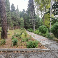 Парк "Дюльбер". Разбит в конце XIX в. Инициатор создания парка - великий князь Петр Николаевич Романов (внук Николая I). Проект парка с учётом эскизов Романова разработал ялт. арх. Н. П. Краснов, высажен с участием  крымского садовода Л. Кремера.