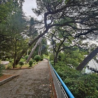 Парк "Дюльбер". Разбит в конце XIX в. Инициатор создания парка - великий князь Петр Николаевич Романов (внук Николая I). Проект парка с учётом эскизов Романова разработал ялт. арх. Н. П. Краснов, высажен с участием  крымского садовода Л. Кремера.