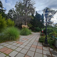 Парк "Дюльбер". Разбит в конце XIX в. Инициатор создания парка - великий князь Петр Николаевич Романов (внук Николая I). Проект парка с учётом эскизов Романова разработал ялт. арх. Н. П. Краснов, высажен с участием  крымского садовода Л. Кремера.