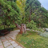 Парк "Дюльбер". Разбит в конце XIX в. Инициатор создания парка - великий князь Петр Николаевич Романов (внук Николая I). Проект парка с учётом эскизов Романова разработал ялт. арх. Н. П. Краснов, высажен с участием  крымского садовода Л. Кремера.