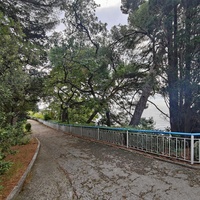 Парк "Дюльбер". Разбит в конце XIX в. Инициатор создания парка - великий князь Петр Николаевич Романов (внук Николая I). Проект парка с учётом эскизов Романова разработал ялт. арх. Н. П. Краснов, высажен с участием  крымского садовода Л. Кремера.