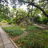 Парк "Дюльбер". Разбит в конце XIX в. Инициатор создания парка - великий князь Петр Николаевич Романов (внук Николая I). Проект парка с учётом эскизов Романова разработал ялт. арх. Н. П. Краснов, высажен с участием  крымского садовода Л. Кремера.