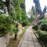 Парк "Дюльбер". Разбит в конце XIX в. Инициатор создания парка - великий князь Петр Николаевич Романов (внук Николая I). Проект парка с учётом эскизов Романова разработал ялт. арх. Н. П. Краснов, высажен с участием  крымского садовода Л. Кремера.