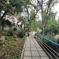 Парк "Дюльбер". Разбит в конце XIX в. Инициатор создания парка - великий князь Петр Николаевич Романов (внук Николая I). Проект парка с учётом эскизов Романова разработал ялт. арх. Н. П. Краснов, высажен с участием  крымского садовода Л. Кремера.