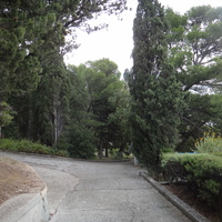 Парк "Дюльбер". Разбит в конце XIX в. Инициатор создания парка - великий князь Петр Николаевич Романов (внук Николая I). Проект парка с учётом эскизов Романова разработал ялт. арх. Н. П. Краснов, высажен с участием  крымского садовода Л. Кремера.