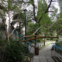 Парк "Дюльбер". Разбит в конце XIX в. Инициатор создания парка - великий князь Петр Николаевич Романов (внук Николая I). Проект парка с учётом эскизов Романова разработал ялт. арх. Н. П. Краснов, высажен с участием  крымского садовода Л. Кремера.