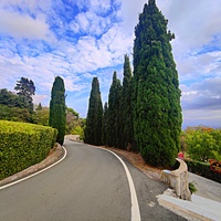 Архитектурно-парковый комплекс Юсуповского дворца в посёлке Кореиз. Площадь парка — около 16 га, создан известным ландшафтным дизайнером Карлом Кебахом и директором императорского ботанического сада Николаем Гартвисом в 1820-х гг.