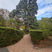 Архитектурно-парковый комплекс Юсуповского дворца в посёлке Кореиз. Площадь парка — около 16 га, создан известным ландшафтным дизайнером Карлом Кебахом и директором императорского ботанического сада Николаем Гартвисом в 1820-х гг.