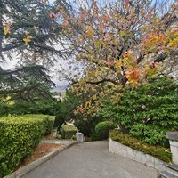 Архитектурно-парковый комплекс Юсуповского дворца. Площадь парка — около 16 га, создан известным ландшафтным дизайнером Карлом Кебахом и директором императорского ботанич. сада Николаем Гартвисом в 1820-х гг. Гостевой дом.