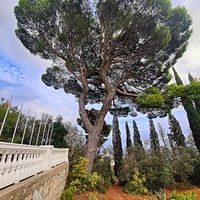 Архитектурно-парковый комплекс Юсуповского дворца в посёлке Кореиз. Площадь парка — около 16 га, создан известным ландшафтным дизайнером Карлом Кебахом и директором императорского ботанического сада Николаем Гартвисом в 1820-х гг.