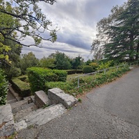 Архитектурно-парковый комплекс Юсуповского дворца в посёлке Кореиз. Площадь парка — около 16 га, создан известным ландшафтным дизайнером Карлом Кебахом и директором императорского ботанического сада Николаем Гартвисом в 1820-х гг.