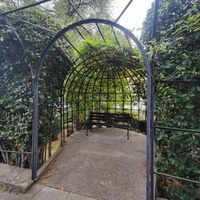 Архитектурно-парковый комплекс Юсуповского дворца в посёлке Кореиз. Площадь парка — около 16 га, создан известным ландшафтным дизайнером Карлом Кебахом и директором императорского ботанического сада Николаем Гартвисом в 1820-х гг. Лавровая беседка.