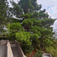 Архитектурно-парковый комплекс Юсуповского дворца в посёлке Кореиз. Площадь парка — около 16 га, создан известным ландшафтным дизайнером Карлом Кебахом и директором императорского ботанического сада Николаем Гартвисом в 1820-х гг.