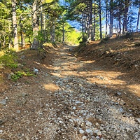 В начале Кореизской тропы.