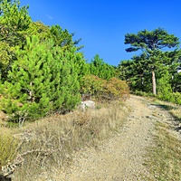 В начале Кореизской тропы.