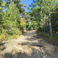 В начале Кореизской тропы.