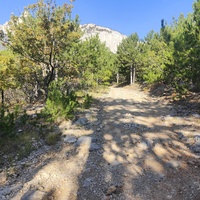 На Кореизской тропе. Вид на Ай-Петри.