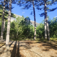 На Кореизской тропе. Вид на Ай-Петри.