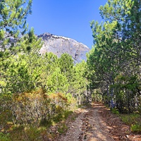 На Кореизской тропе.