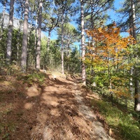 На Кореизской тропе.