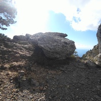Вдоль Кореизской тропы на Вороньей скале в Ялтинском горно-лесном заповеднике.