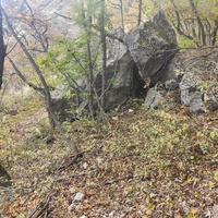 Вдоль Кореизской тропы за Вороньей скалой в Ялтинском горно-лесном заповеднике.
