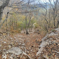 Вдоль Кореизской тропы за Вороньей скалой в Ялтинском горно-лесном заповеднике.