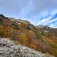 Вид с Кореизской тропы в Ялтинском горно-лесном заповеднике на склоны Ай-Петринской яйлы  перед её вершиной.