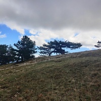 Склон перед вершиной Ай-Петринской яйлы.