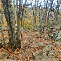 На плато Ай-Петри. Тропа к вершине горы Ай-Петри (Не видно? А она есть!).