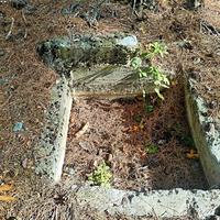 Пересохший родник Баба-Али Текне на  Кореизской тропе в Ялтинском горно-лесном заповеднике.